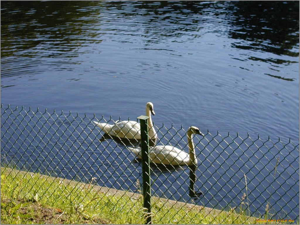 , , , , , 